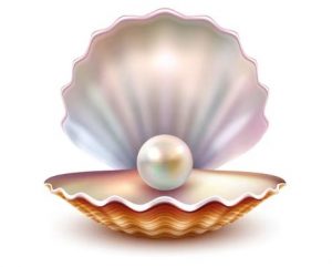 perla in conchiglia2